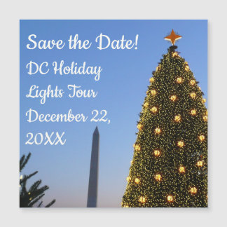 Big and Little Christmas Trees II Holiday in DC