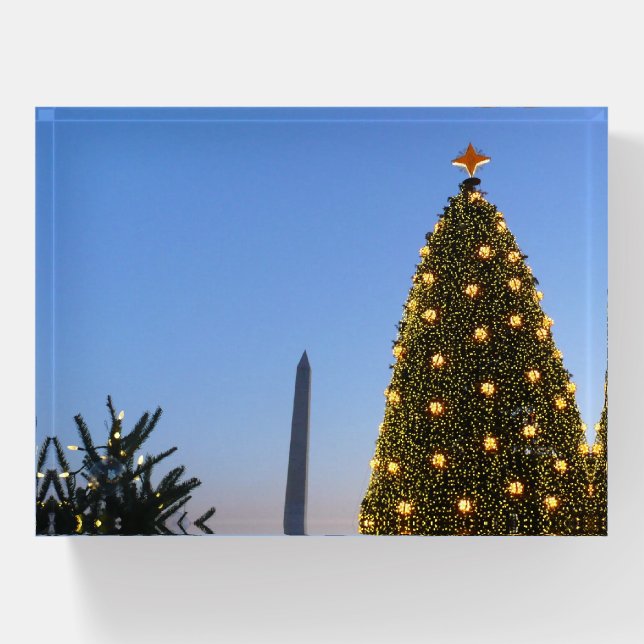 Big and Little Christmas Trees II Holiday in DC Paperweight (Front)