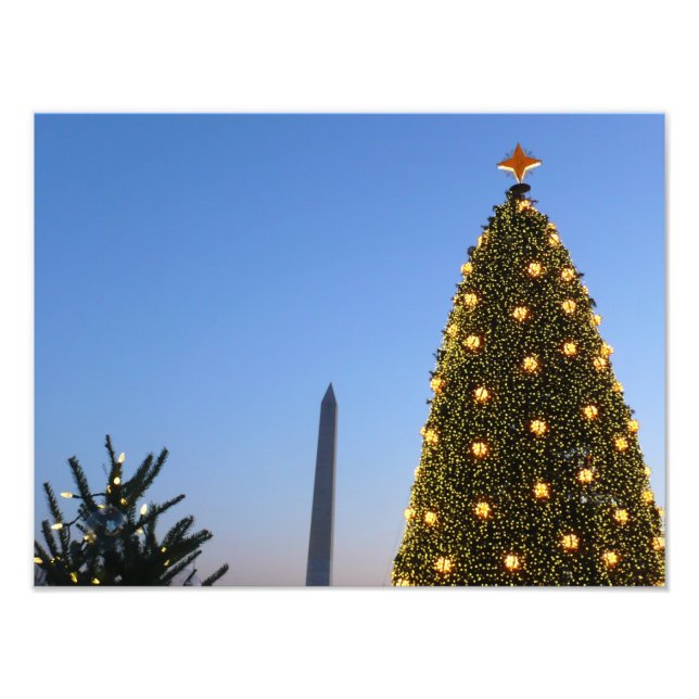 Big and Little Christmas Trees II Holiday in DC Photo Print (Front)