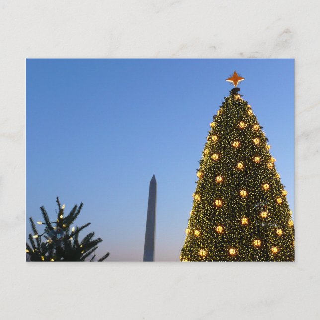 Big and Little Christmas Trees II Holiday in DC Postcard (Front)