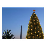 Big and Little Christmas Trees II Holiday in DC Poster