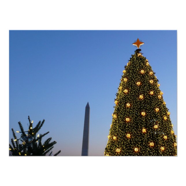 Big and Little Christmas Trees II Holiday in DC Poster (Front)