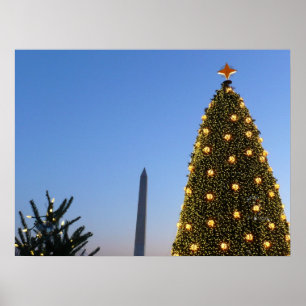 Big and Little Christmas Trees II Holiday in DC Poster