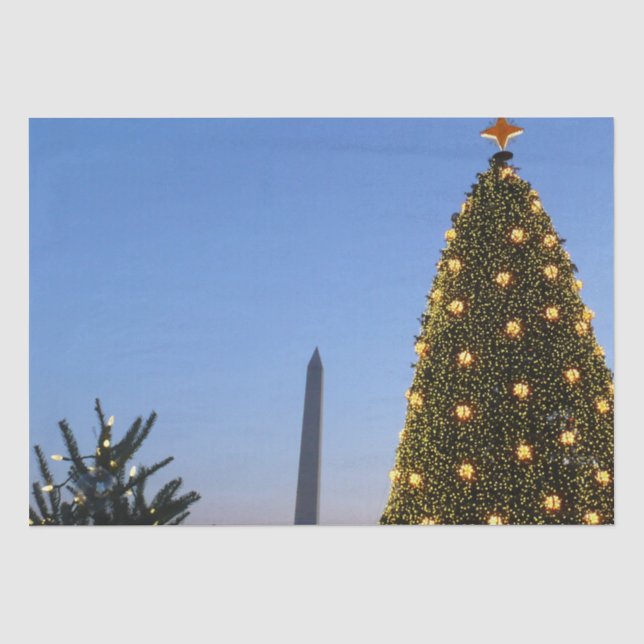 Big and Little Christmas Trees II Holiday in DC Tissue Paper (Front)