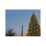 Big and Little Christmas Trees II Holiday in DC Wood Poster
