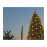 Big and Little Christmas Trees II Holiday in DC Wood Wall Decor