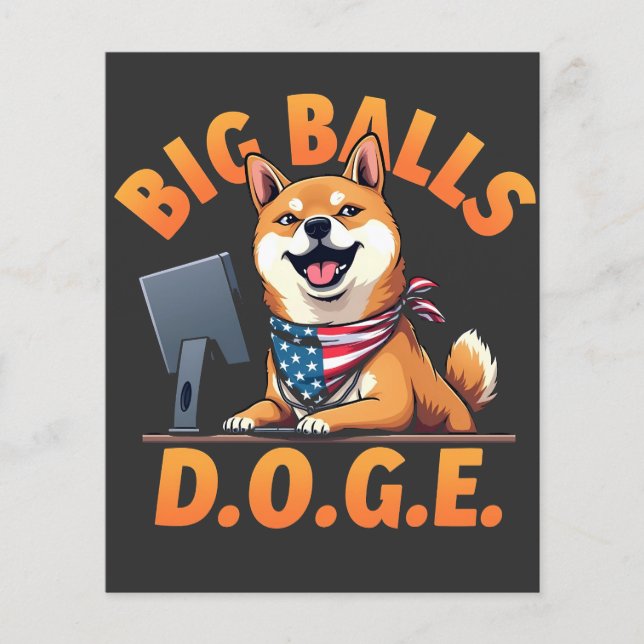 Big Balls Doge Department of Government Efficiency Flyer (Front)