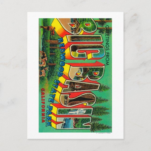 Big Basin, California - Large Letter Scenes Postcard (Front)