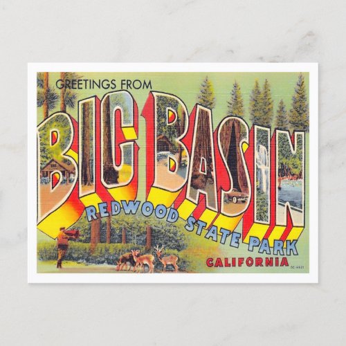 Big Basin California Vintage Big Letters Postcard