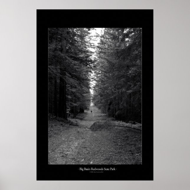 Big Basin Redwoods State Park Poster (Front)