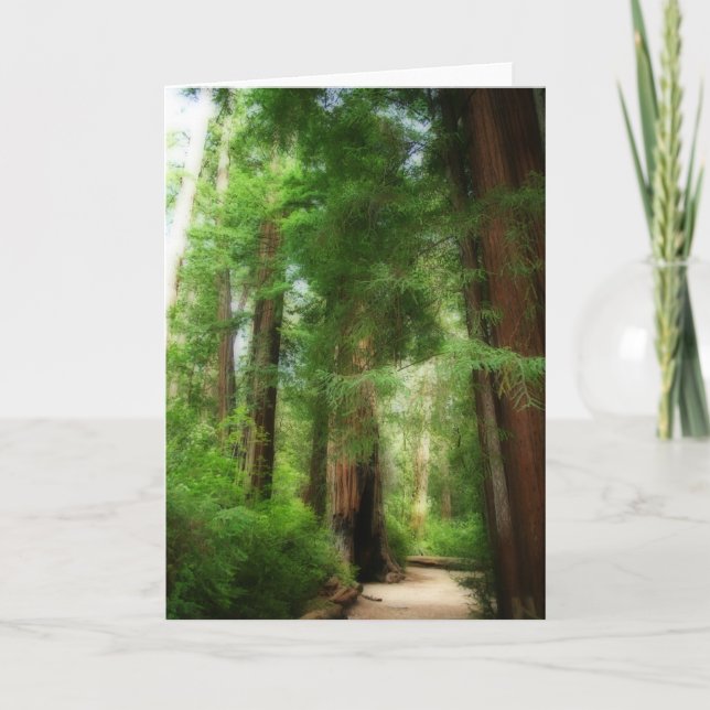 Big Basin Redwoods Thank You Card (Front)