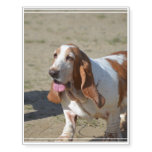 Big Basset Hound Temporary Tattoos
