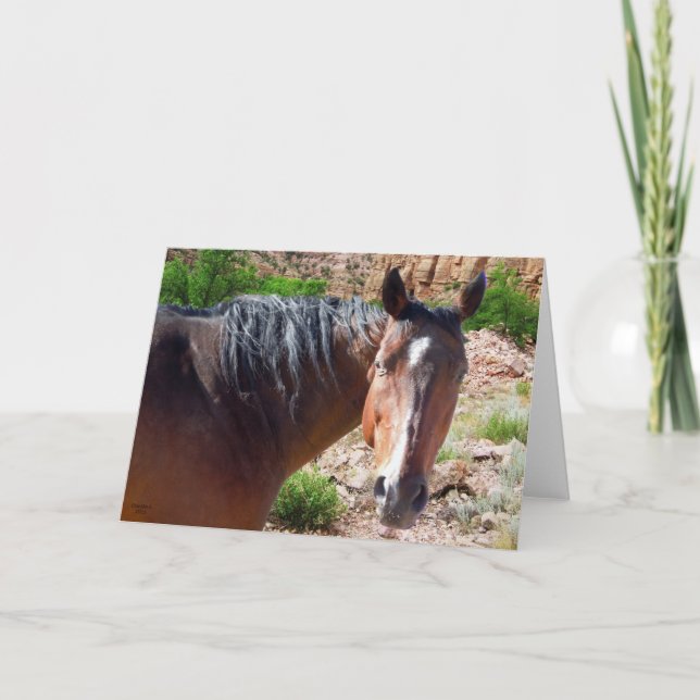 Big Bay American Quarter Horse - Blank Inside Card (Front)
