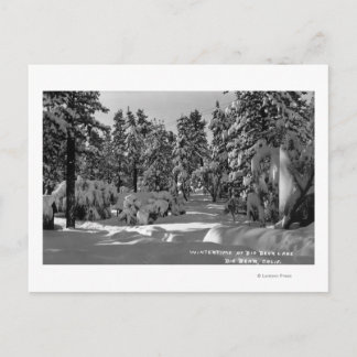 Big Bear Lake, CA in the Winter Snow View Postcard