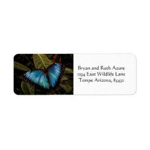 Big, beautiful, blue butterfly label
