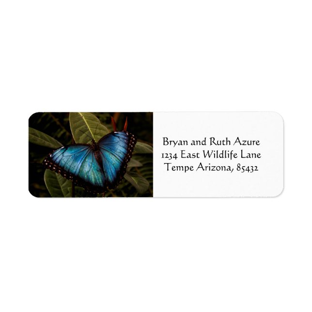 Big, beautiful, blue butterfly label (Front)
