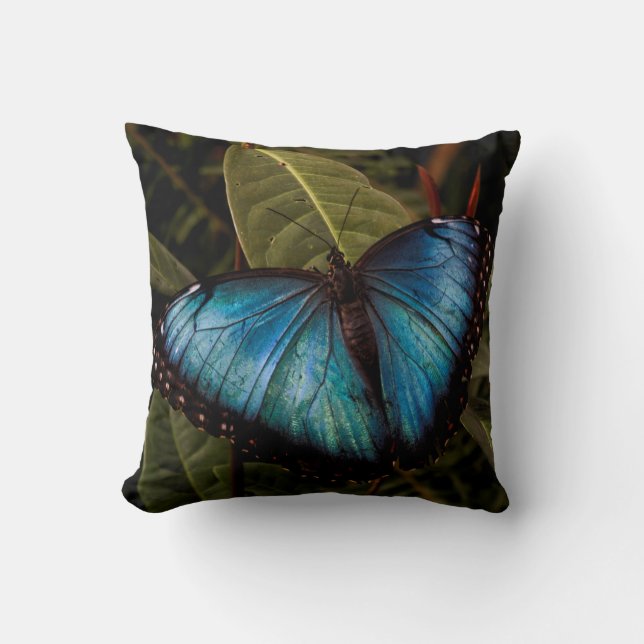 Big, beautiful, blue butterfly throw pillow (Front)