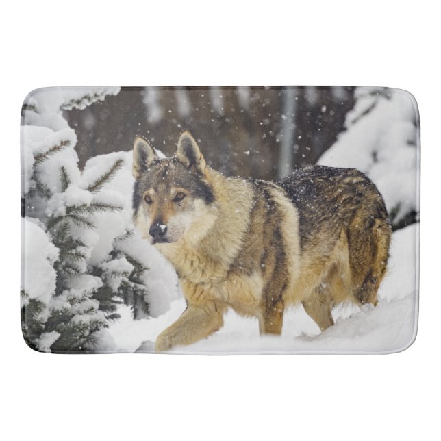 Big Beautiful Grey Wild Wolf in snow Bath Mat (Front)