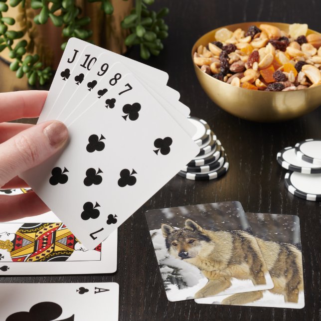Big Beautiful Grey Wild Wolf in snow Poker Cards (In Situ)