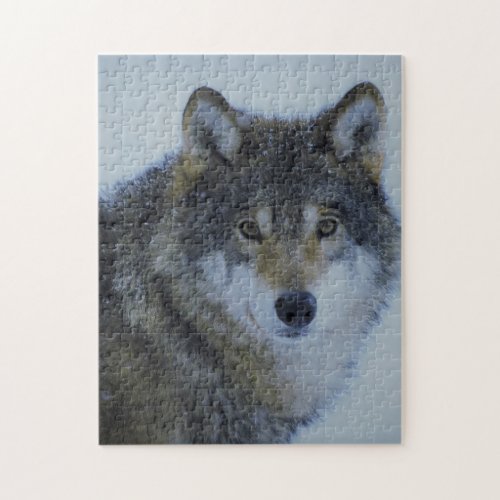 Big Beautiful Grey Wolf in the wild  Jigsaw Puzzle