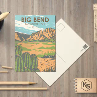 Big Bend National Park Chihuahuan Desert Vintage  Postcard