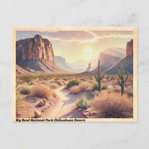 Big Bend National Park Chihuahuan Desert Vintage Postcard