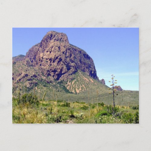 Big Bend National Park Post Card