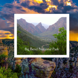 Big Bend National Park Postcard