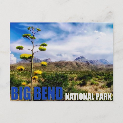 Big Bend Texas US National Park Post Card