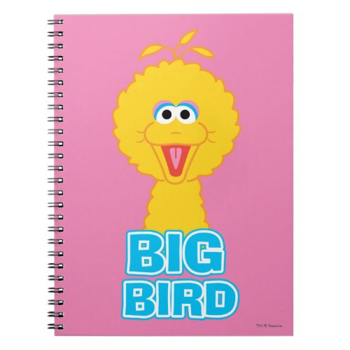 Big Bird Classic Style Notebook