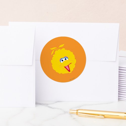 Big Bird Face Classic Round Sticker