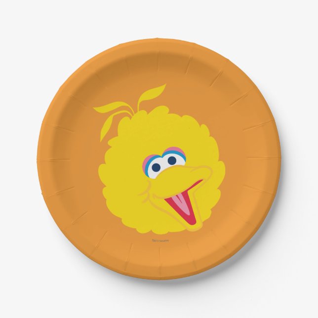 Big Bird Face Paper Plates (Front)