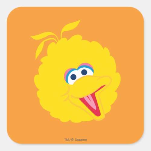 Big Bird Face Square Sticker