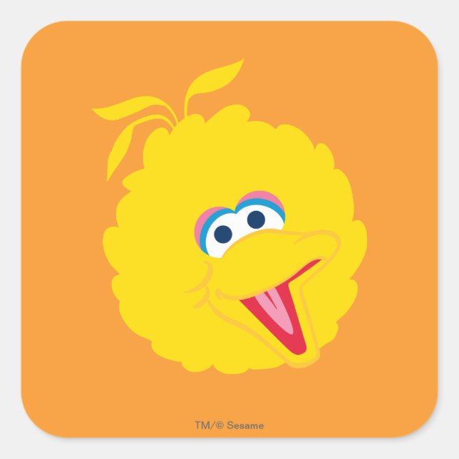 Big Bird Face Square Sticker (Front)