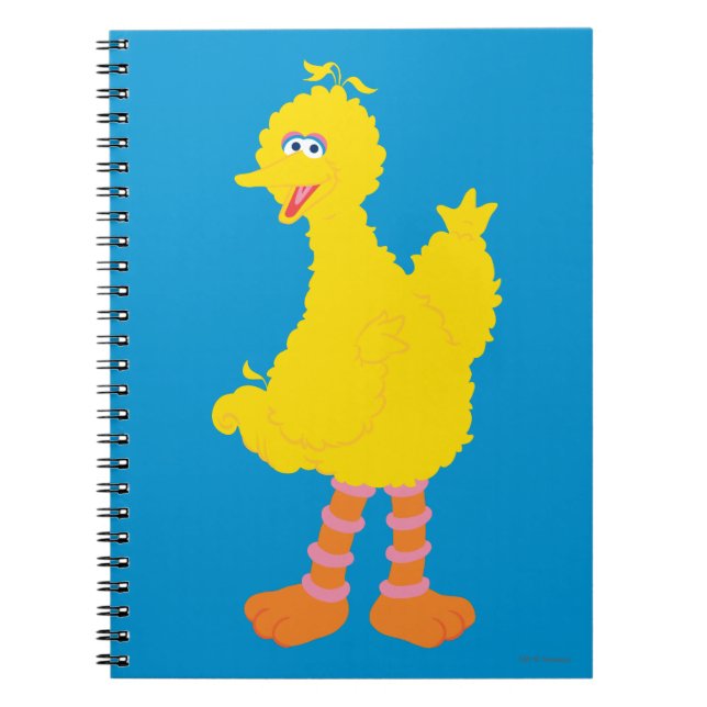 Big Bird Graphic Notebook (Front)
