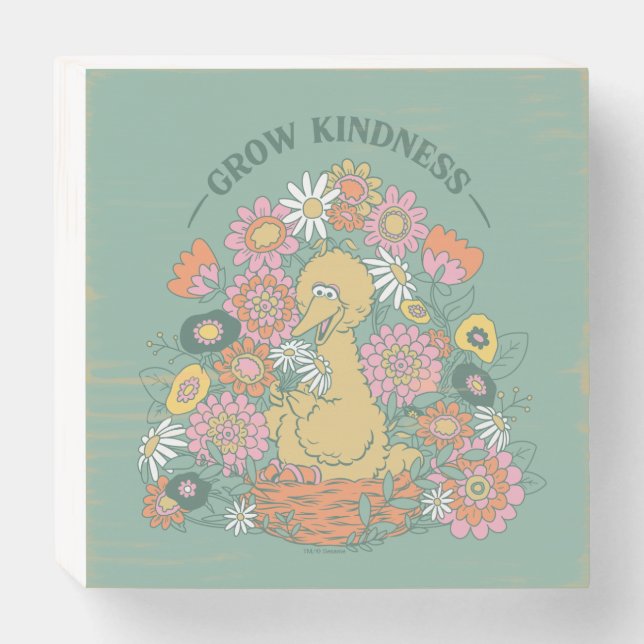 Big Bird | Grow Kindness Floral Graphic Wooden Box Sign (Front Horizontal)