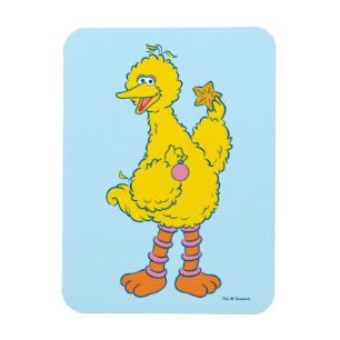 Big Bird Holding Christmas Ornaments Magnet