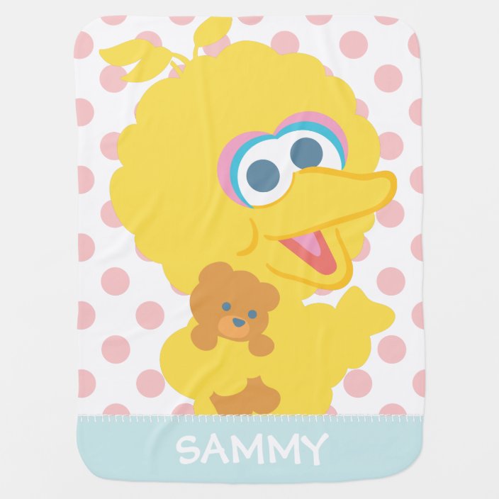 big bird teddy