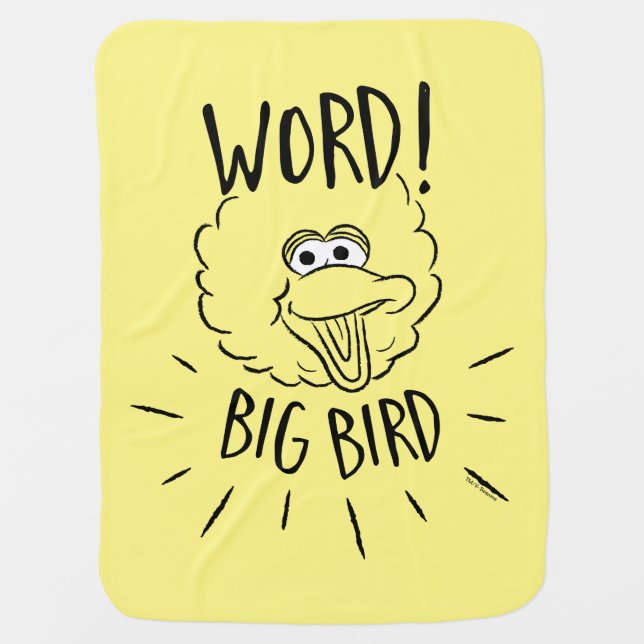 Big Bird Skate Logo - Word! Big Bird Baby Blanket (Front)