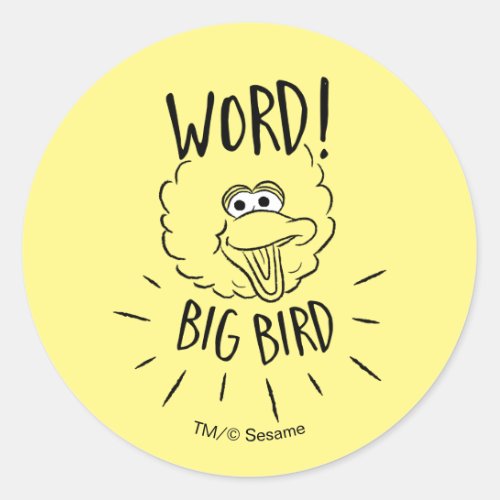 Big Bird Skate Logo _ Word Big Bird Classic Round Sticker