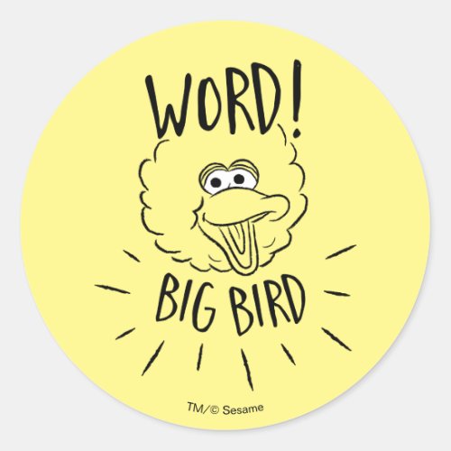 Big Bird Skate Logo _ Word Big Bird Classic Round Sticker