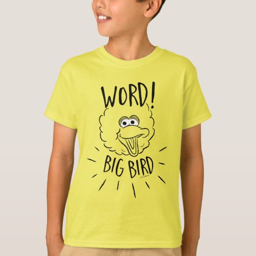 Big Bird Skate Logo _ Word Big Bird T_Shirt