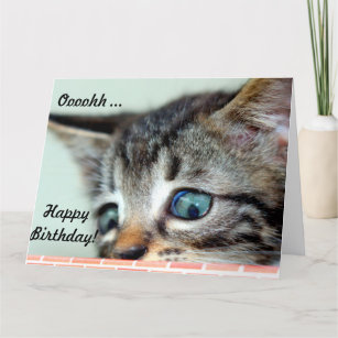 Big Birthday Card Cute Kitten says happy Birthday