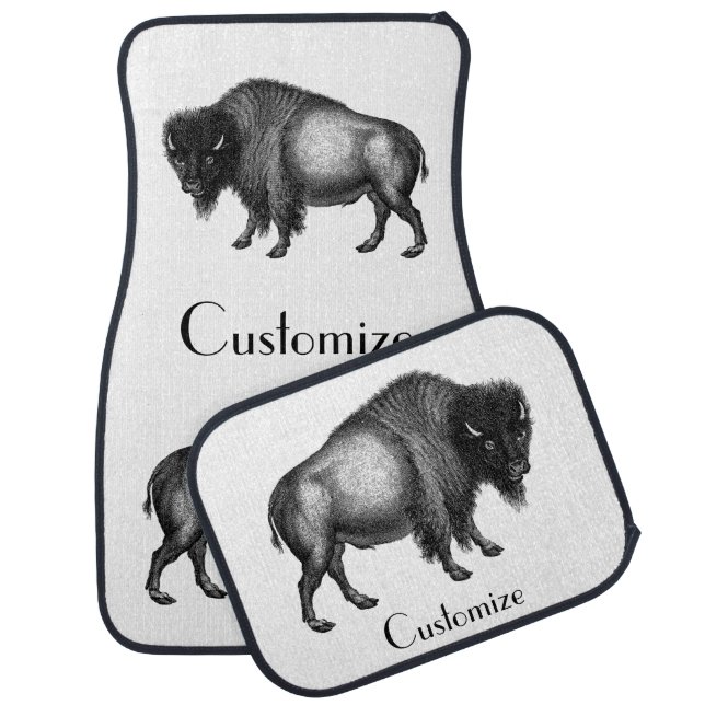 Big Bison Buffalo Thunder_Cove   Car Floor Mat (Set)