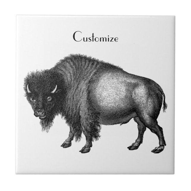 Big Bison Buffalo Thunder_Cove    Ceramic Tile (Front)