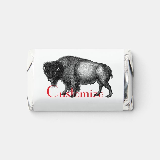 Big Bison Buffalo Thunder_Cove  Hershey's Miniatures (Front)