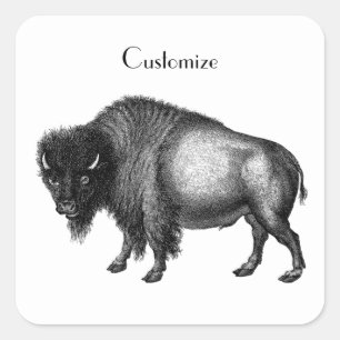 Big Bison Buffalo Thunder_Cove Square Sticker