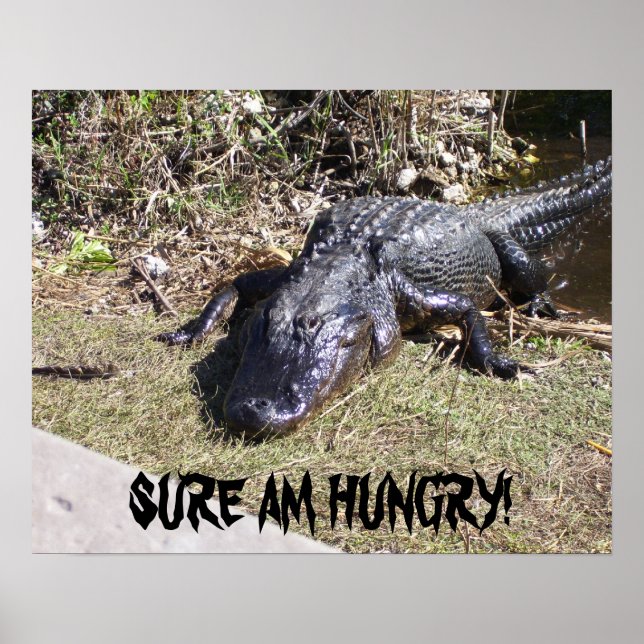 Big Black Alligator Poster (Front)