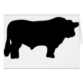 big black angus bull (Front Horizontal)