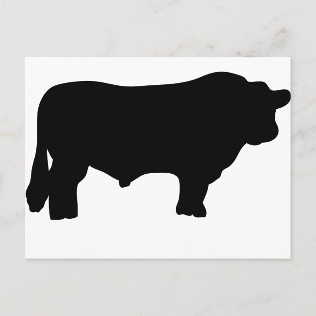 big black angus bull postcard (Front)